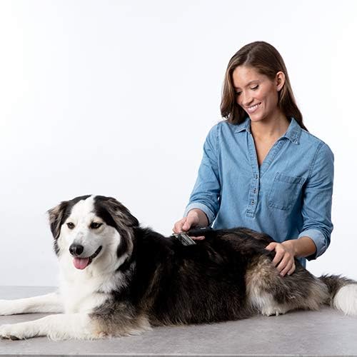 Bissell Dematting Comb for Dogs and Cats, 25371