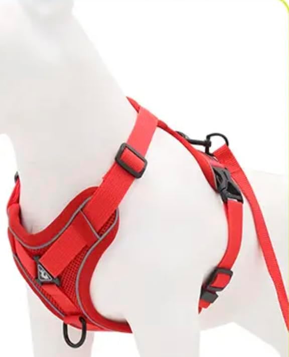 Harness for Dogs & Cats - S. M. L. XL, Nylon, Adjustable Buckle Pet Vest with Matching Leash (Red, Small)