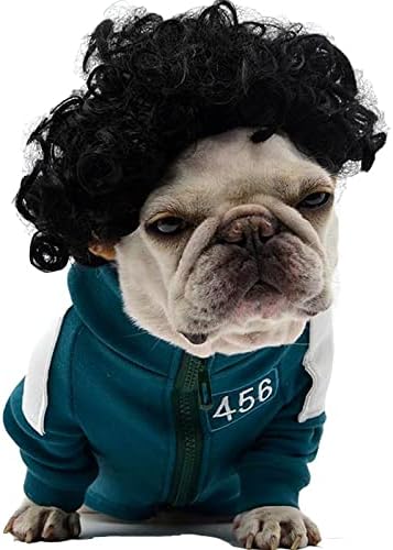 pet k9 Funny Dog Cat Cosplay Wig, Pet Costumes, Cat Dress up for Halloween, Christmas, Parties, Festivals, Dog Wigs for Small Medium and Large Sized Dogs (Black Curly Hair)