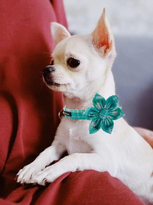 Maca Bates Blue Checkered Flower Summer Dog Grid Collar with Flowers for Dogs Adjustable Breakaway Cute Plaid Collars Accessories Gift for Small Medium Large XL Puppy with Golden Metal Buckle