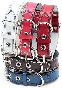 Genuine Leather Dog Collars with Stainless Steel Buckle and Double D Rings – (12"-15", Tan)