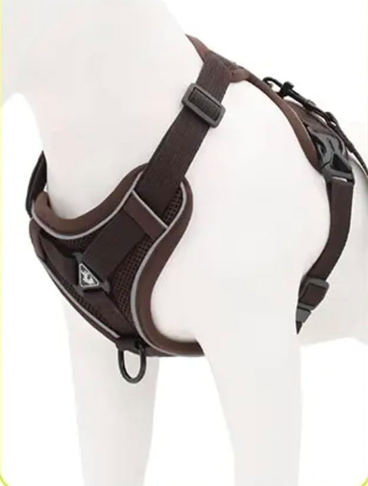 Harness for Dogs & Cats - S. M. L. XL, Nylon, Adjustable Buckle Pet Vest with Matching Leash (Brown, Large)