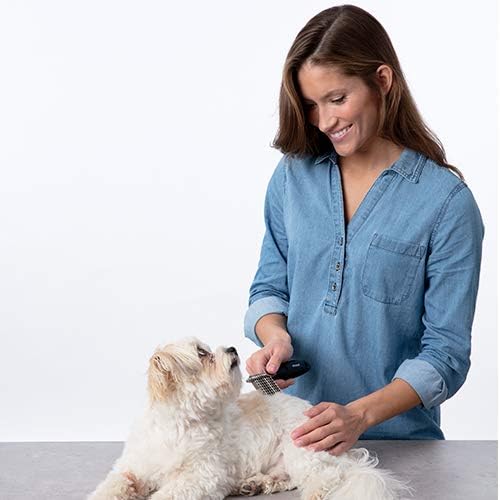 Bissell Dematting Comb for Dogs and Cats, 25371