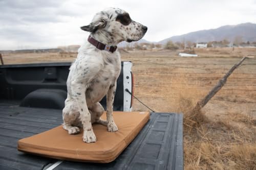 Carhartt Nylon Duck Dog Kennel Pad, Carhartt Brown, X-Large