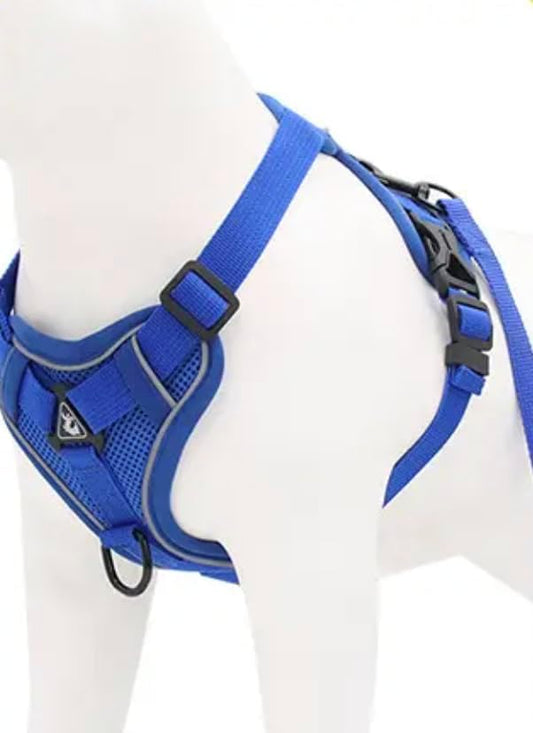 Harness for Dogs & Cats - S. M. L. XL, Nylon, Adjustable Buckle Pet Vest with Matching Leash (Blue, Extra Large)