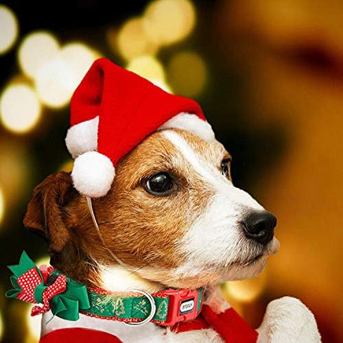 Christmas Festival Dog Collar, Deer Pattern, Removable Bowtie, for Medium Dog, Neck 12"-18", Width 3/4". (Medium, Deer)