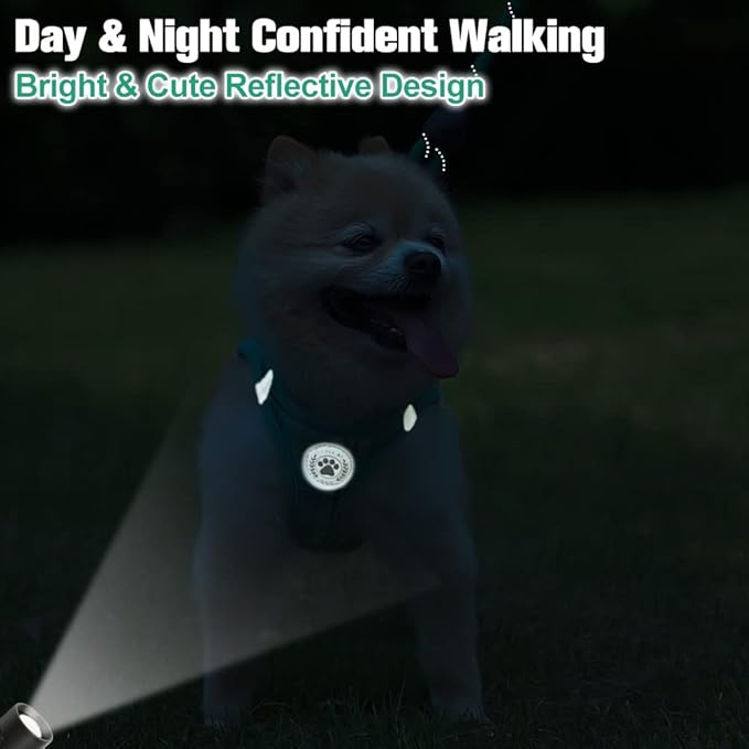 BEAUTYZOO Small Dog Harness and Leash Set,Step in No Chock No Pull Soft Mesh Dog Harnesses Reflective for Extra-Small/Small Medium Puppy Dogs and Cats, Plaid Dog Vest Harness for XS S Pets, Teal XS