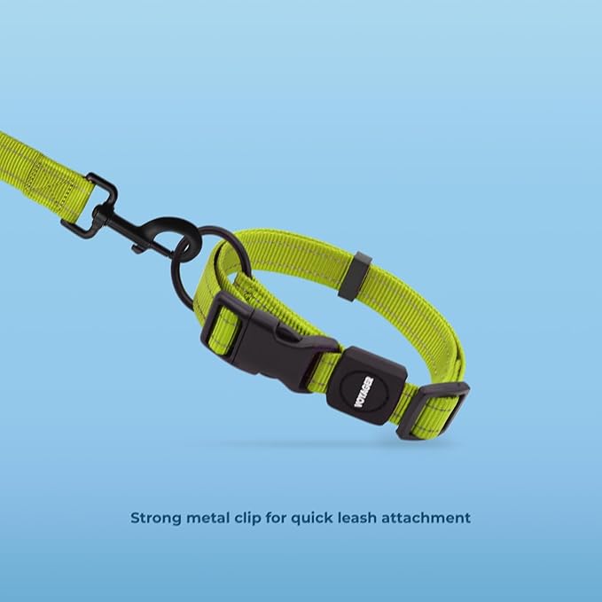 Voyager Reflective Dog Leash Collar Set with Neoprene Handle Supports Small, Medium, and Large Breed Puppies, Cute and Heavy Duty for Walking, Running, and Training - Lime Green, L