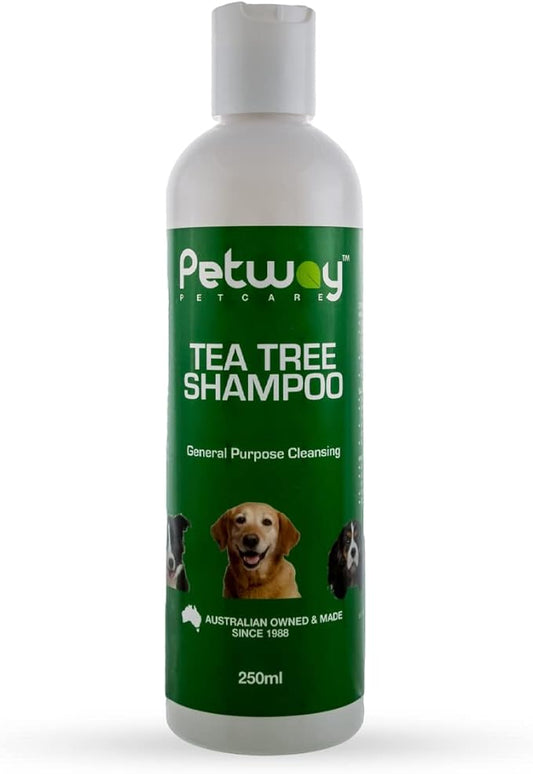 Petcare Tea Tree Shampoo for Dogs, Natural Cleansing and Deodorizing Shampoo, pH Balanced Deep Cleansing Dog Shampoo, Free of Phosphates, Parabens and Enzymes, Dog Coat Shampoo, 250ml