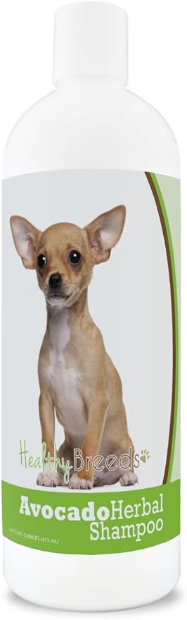 Healthy Breeds Chihuahua Avocado Herbal Dog Shampoo 16 oz