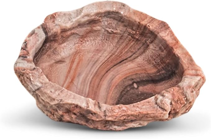 Fluker's Repta Bowl, Food and Water Bowl for Reptiles and Small Animals, Medium 6" (Pack of 2)