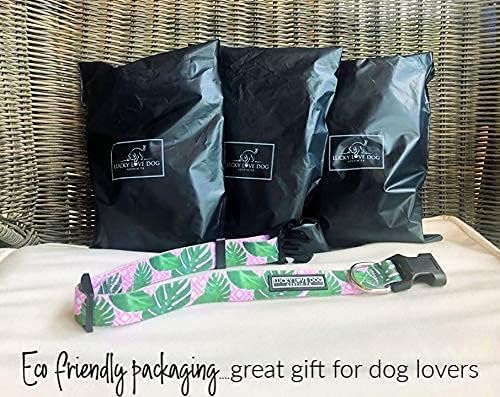 Lucky Love Dog, Tropical Martingale Collar for Female Male Dogs, Premium No Slip Collar and Leash Set, Vivid Pink Martingale Collar - (Large, Laguna Mart - Combo)