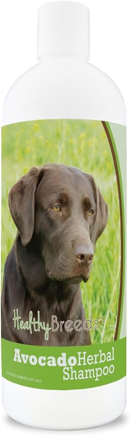Healthy Breeds Labrador Retriever Avocado Herbal Dog Shampoo 16 oz