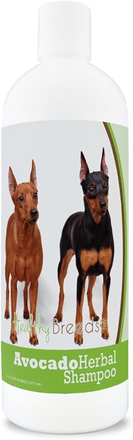 Healthy Breeds Miniature Pinscher Avocado Herbal Dog Shampoo 16 oz