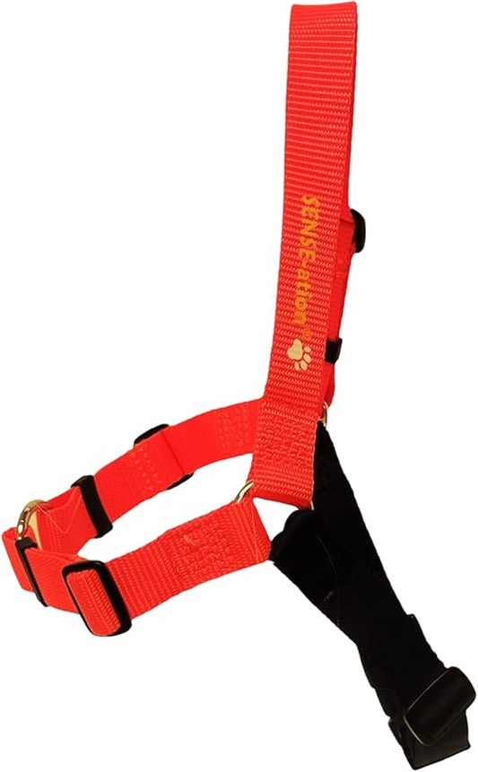 The Original Sense-ation No-Pull Dog Training Harness (Small, Neon Orange)