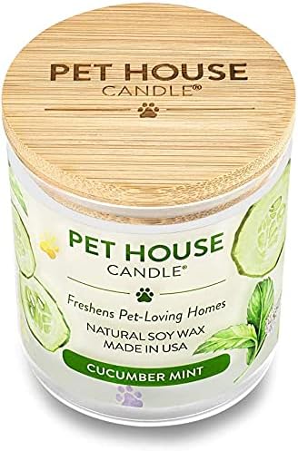Pet House 9 oz Cucumber Mint Scented Pet Odor Candle, Clean Burning, Long Lasting, Plant Based Spring, Summer Scented Soy Candles, 60 Hour Burn Time, Pack of 2