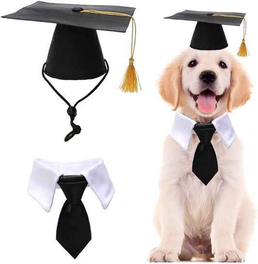 Pet Graduation Caps with Bow Tie Necktie Collar Dog Graduation Hats Accessory Costume for Dogs Cats