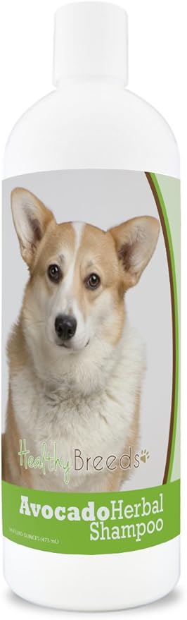 Healthy Breeds Cardigan Welsh Corgi Avocado Herbal Dog Shampoo 16 oz