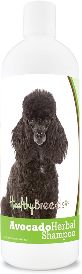 Healthy Breeds Poodle Avocado Herbal Dog Shampoo 16 oz