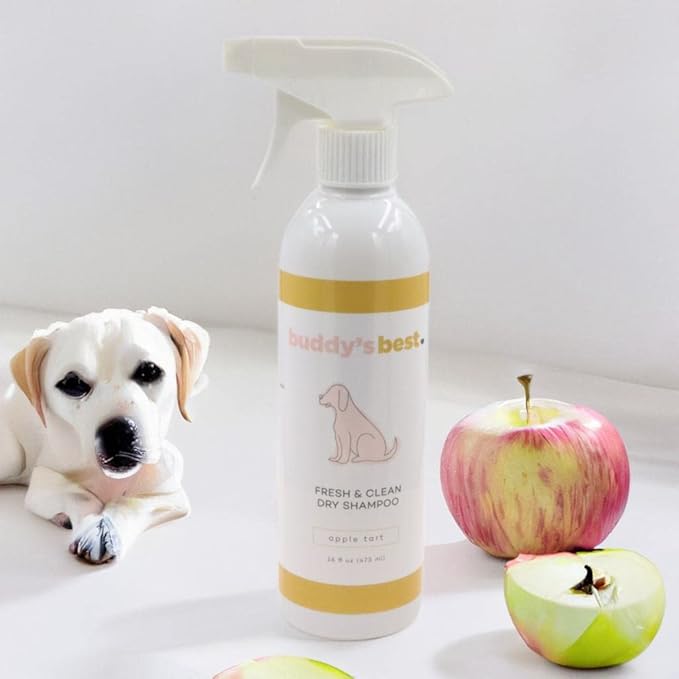 Buddy's Best Fresh & Clean Dry Shampoo for Dogs, 16 fl oz Bottle Waterless Dog Shampoo for Dog and Puppy Grooming (Apple Tart)