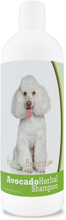 Healthy Breeds Poodle Avocado Herbal Dog Shampoo 16 oz