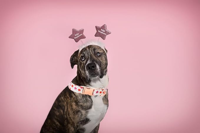 Lionet Paws Valentine Day Dog Collar, Heavy-Duty Cute Pink Heart Pattern Collar with Metal Buckle Pet Necklace for Medium Large Dog Gift, Neck 16-24 inches