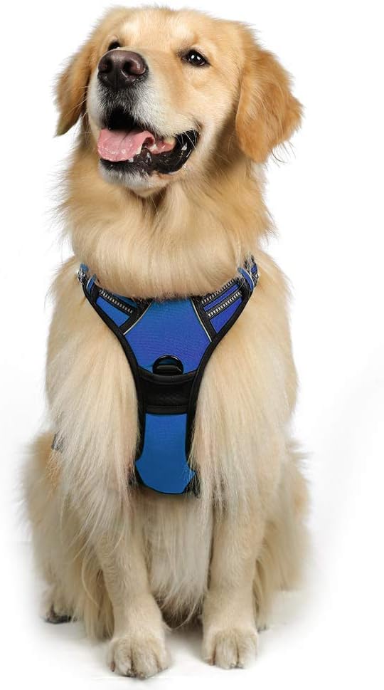 rabbitgoo Dog Harness, No-Pull Pet Harness with 2 Leash Clips, Adjustable Soft Padded Dog Vest, Reflective No-Choke Pet Oxford Vest with Easy Control Handle for Large Dogs, Dazzling Blue, L