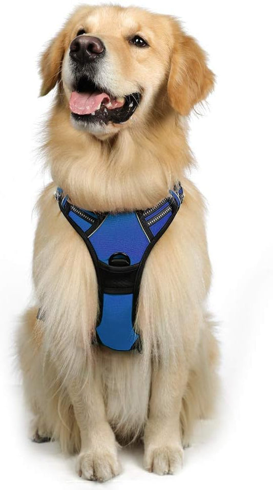 rabbitgoo Dog Harness, No-Pull Pet Harness with 2 Leash Clips, Adjustable Soft Padded Dog Vest, Reflective No-Choke Pet Oxford Vest with Easy Control Handle for Large Dogs, Dazzling Blue, L