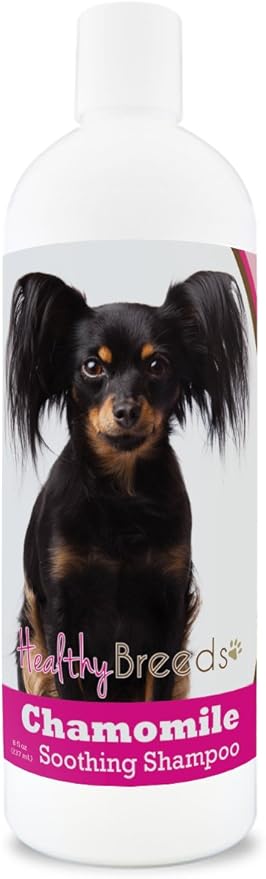 Healthy Breeds Russian Toy Terrier Chamomile Soothing Dog Shampoo 8 oz