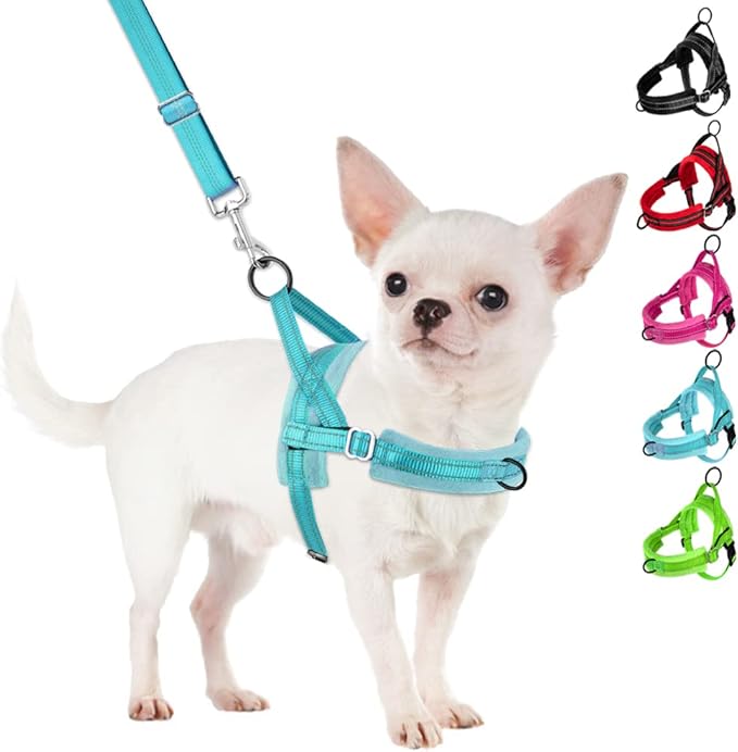 SlowTon No Pull Small Dog Harness and Leash Set, Puppy Soft Vest Harness Neck & Chest Adjustable, Reflective Lightweight Harness & Anti-Twist Pet Lead Combo for Small Medium Dogs(BL-Front Clip,XXS)