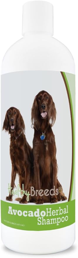 Healthy Breeds Irish Setter Avocado Herbal Dog Shampoo 16 oz