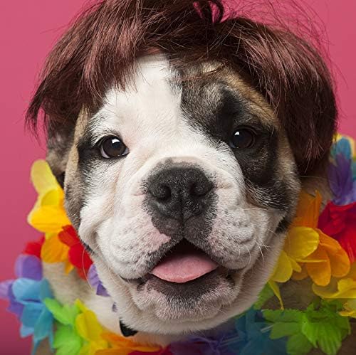 Pet Costume Dog Wig, Dog Clothes with Collar & Tie Head Wear Apparel Toy for Halloween, Christmas, Parties, Festivals (Dark Brown)
