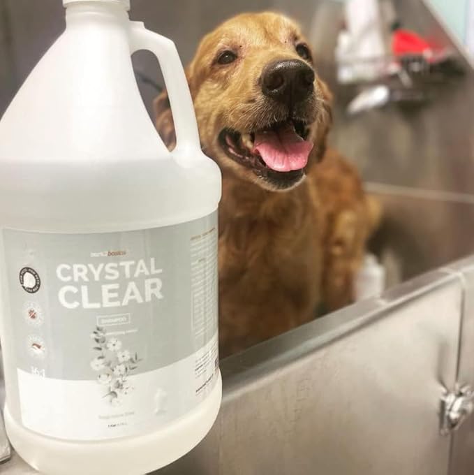 Bark2Basics Crystal Clear Dog Shampoo, 1 Gallon | All Natural Ingredients, Gentle Clean, Fragrance and Color Free | Crafted with a Unique Herbal Blend