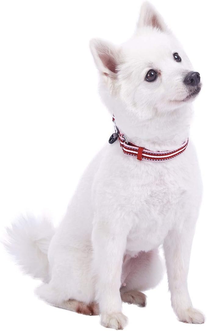 Blueberry Pet 3M Reflective Dog Collars | Adjustable Dog Collar w/Multi-Colored Stripe - Marsala Red and Pink | Nylon Pet Collars for Dogs & Refflective Dog Collar for Medium Dogs