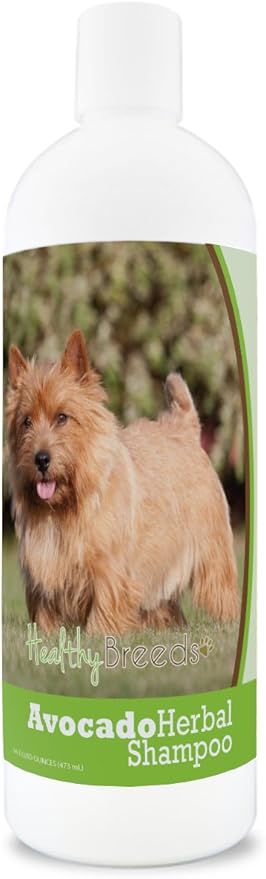 Healthy Breeds Norwich Terrier Avocado Herbal Dog Shampoo 16 oz