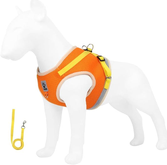 leconpet Dog Harness and Leash Set, Reflective Step in Harness Vest Set-Hook and Loop Fasteners and Buckle Design Combined with Double D Ring on The Back and Chest Ring (Orange, M)