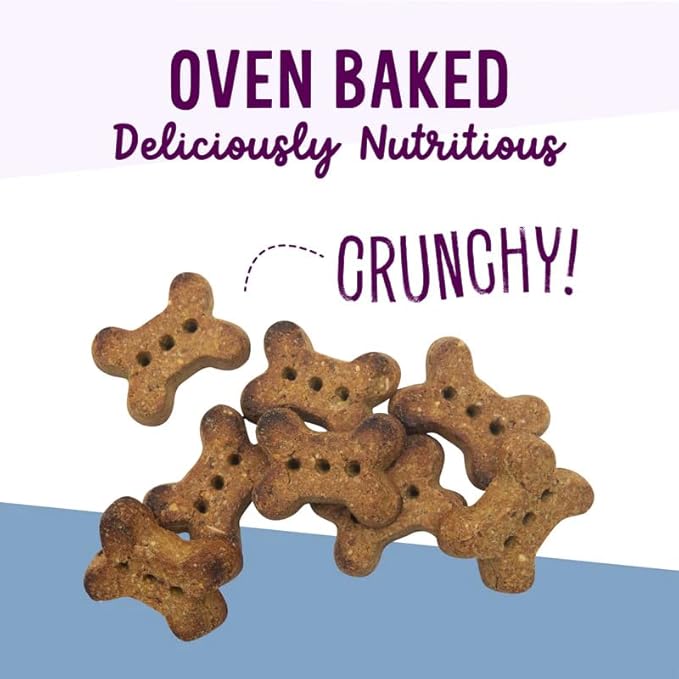 Health Extension Oven-Baked Dog Treats, 6oz (170g), Lamb & Blueberry Recipe – Gluten & Grain-Free, Superfood-Infused, Crunchy Biscuits for Puppy Training (Pack of 6)