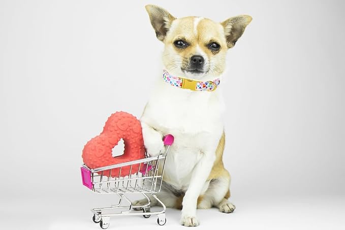 Lionet Paws Valentine Day Dog Collar, Heavy-Duty Cute Colorful Heart Pattern Collar with Metal Buckle Pet Necklace for Medium Large Dog Gift, Neck 16-24 inches