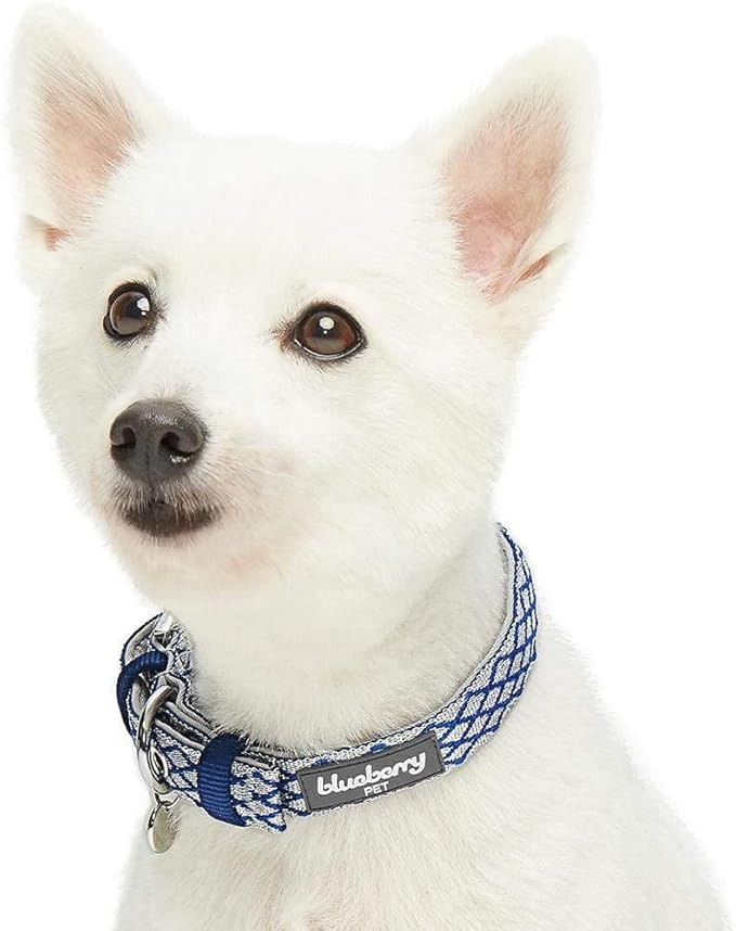Blueberry Pet 2 Patterns Diamond Pattern Adjustable Neoprene Padded Dog Collar with Metal Buckle - Royal Blue, Neck 13-16.5", for Medium Breed