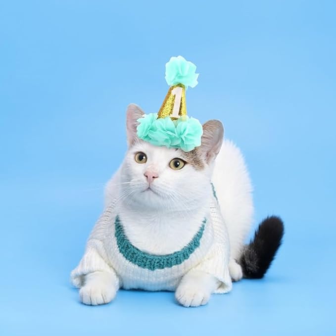 1st Pet Birthday Cone Hat Dogs Cats Holiday Party Hat Headwear Costume with Flowers Accessories and Adjustable Headband for Small Medium Dogs Cats Pets Baby (Blue)