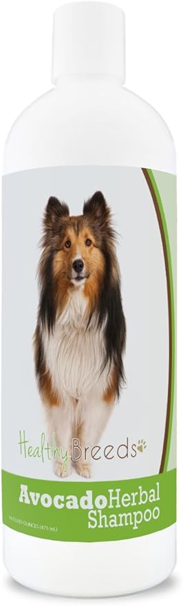 Healthy Breeds Shetland Sheepdog Avocado Herbal Dog Shampoo 16 oz