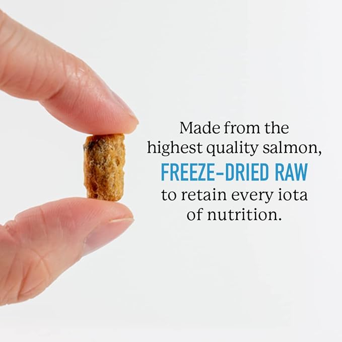 Dr. Harvey's Wild Alaskan Salmon Bites Freeze Dried Dog Training Treats with Salmon Meat for Dogs, 7 Ounces