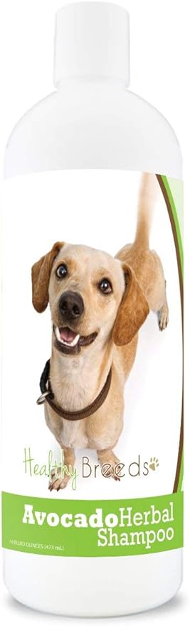 Healthy Breeds Chiweenie Avocado Herbal Dog Shampoo 16 oz