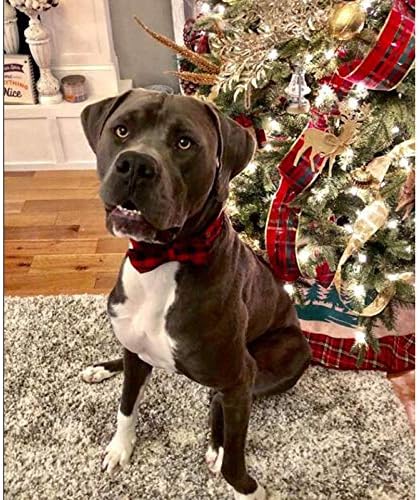Unique Style Paws Pet Soft &Comfy Bowtie Dog Collar and Cat Collar Pet Gift for Dogs and Cats 6 Size and 7 Patterns