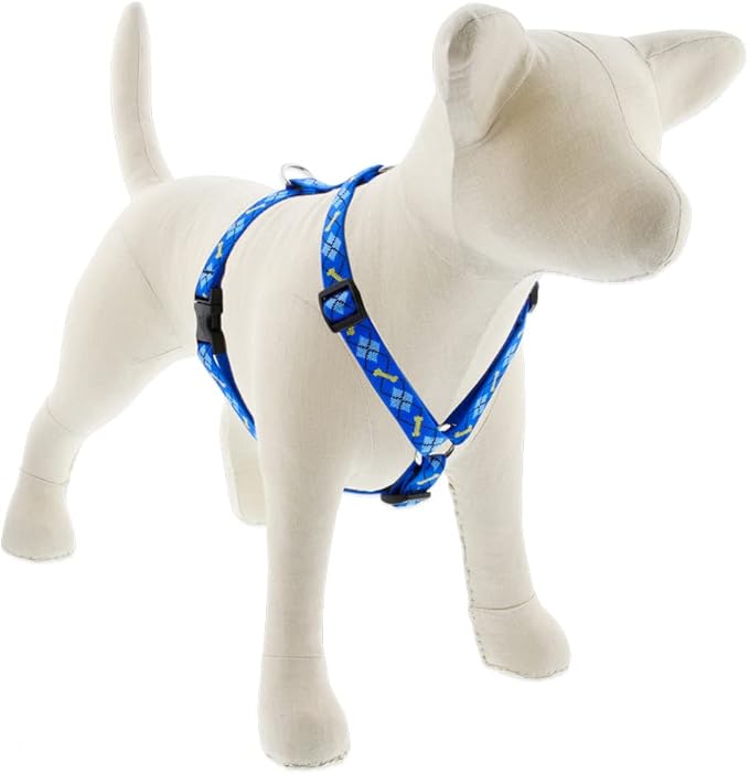 LupinePet Originals 3/4" Dapper Dog 20-32" Adjustable Roman Dog Harness for Medium Dogs