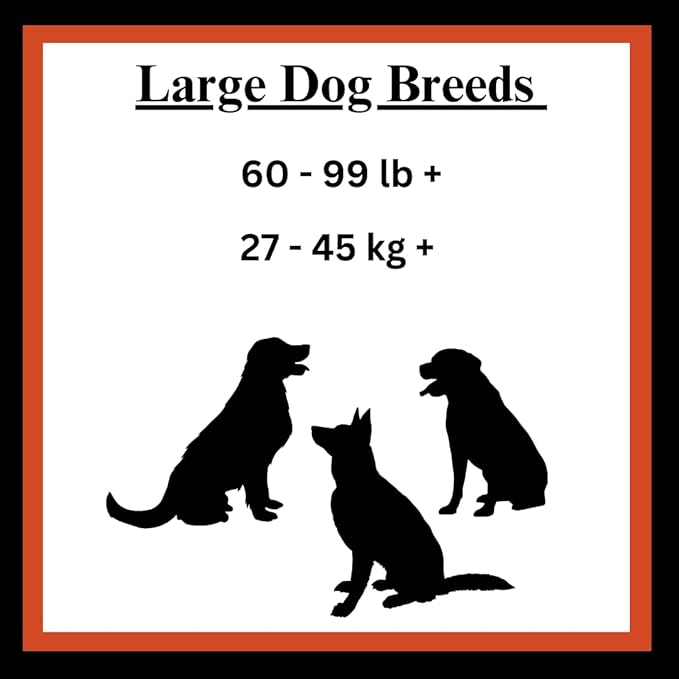 Filled Dog Bones Bundles for Large Dogs, Large Stuffed Femur Bone Bundle with 1 Dog Waste Roll, Long-Lasting Dental Treats for Aggressive Chewers (Peanut Butter)