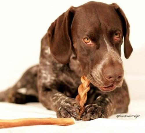 Pawstruck Natural 9” Braided Bully Sticks for Dogs - Tough Long Lasting, Rawhide Free, Low Odor, Healthy Single Ingredient Chew Treat for Aggressive Chewers - 25 Count - Packaging May Vary