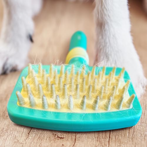 Jelly Pet Deshedding Dog Bath Brush, Curry Brush for Short-Hair Dogs, Shampoo, Massage and Deshed, Use Wet or Dry, Professional Grooming Quality