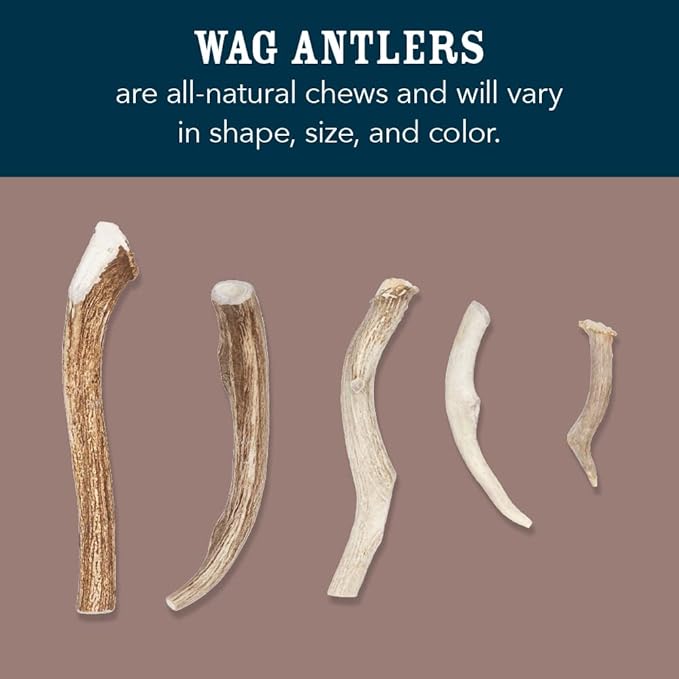 Amazon Brand – Wag Split Elk Antler, Naturally Shed, Small (Best for Dogs under 15 lbs)