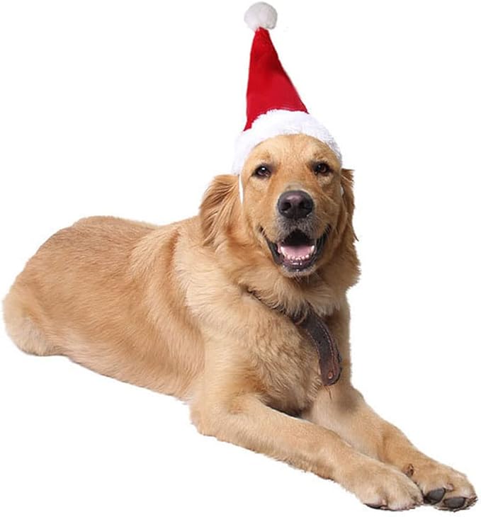 Adjustable 3D Christmas Santa Hat for Dogs Cats (Large)